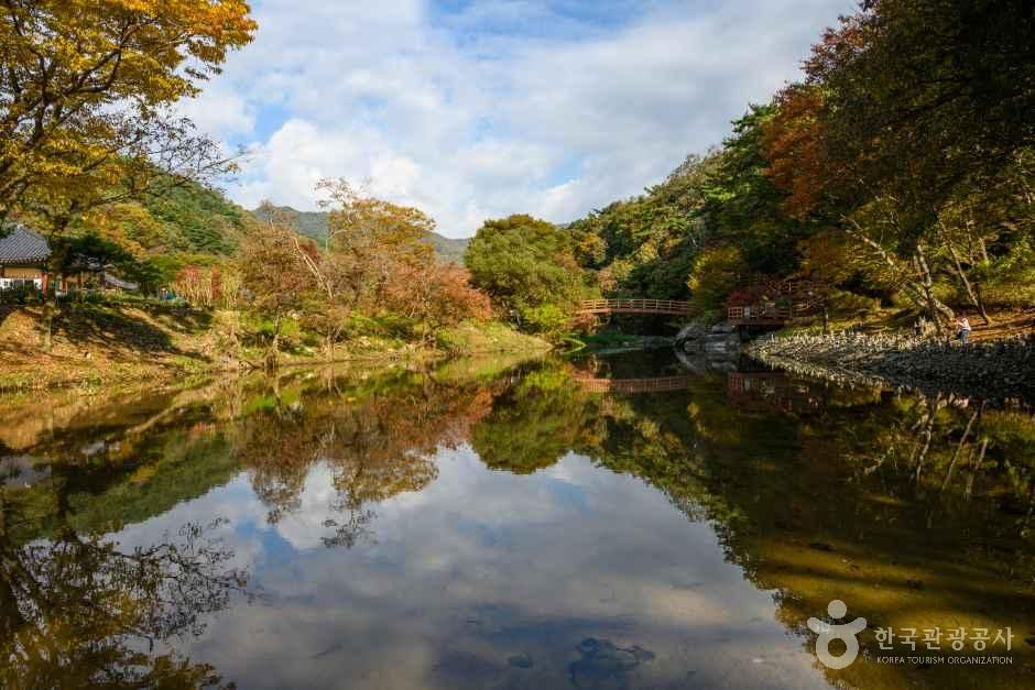 The Ultimate South Korea Packing List: What to Bring for Every Season