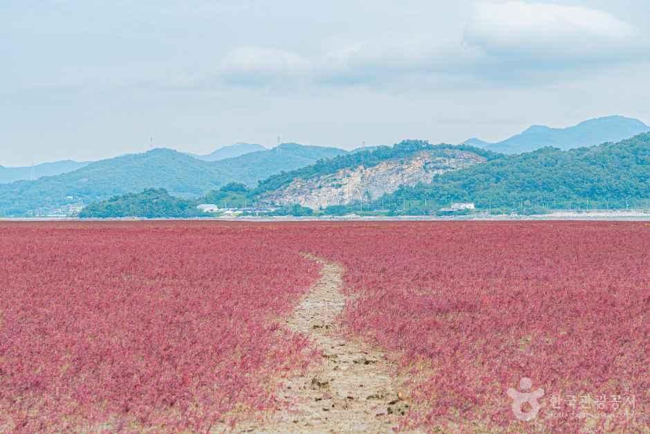 What to Do on a 6-Hour Layover at Incheon Airport