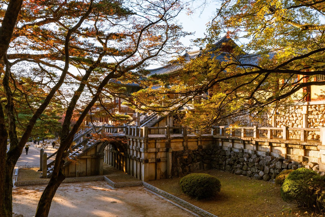 Gyeongju Day Trip from Seoul: KTX, Bulguksa & Wolji Pond