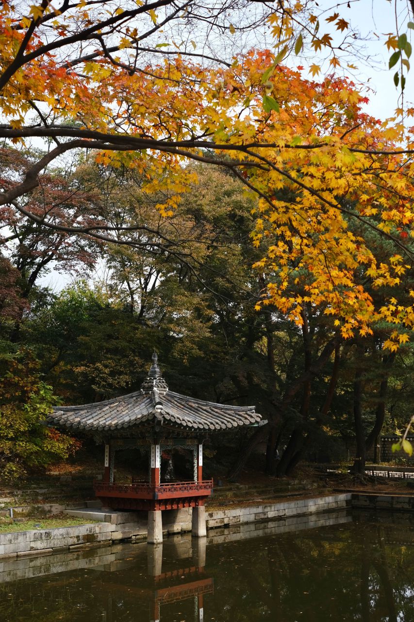 Seoul 5-Day Fall Itinerary: Palaces, Foliage & Day Trips
