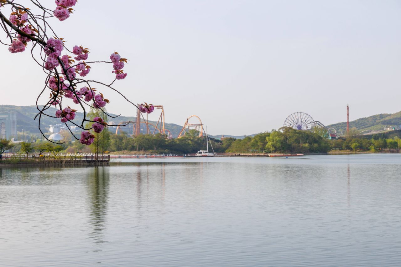 Where to Stay in Gyeongju: Best Hotels Near Bomun Lake