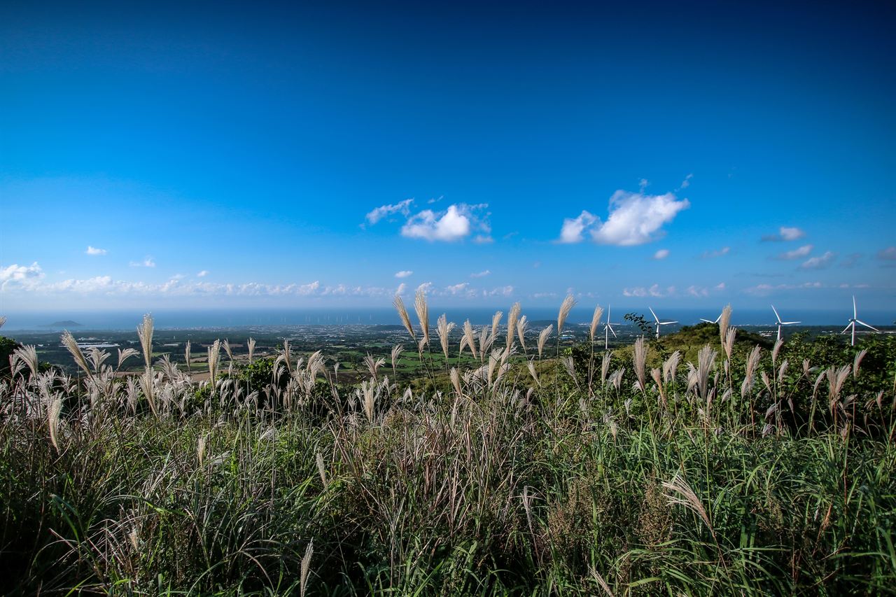 Best Jeju Airport Hotels: Where to Stay in Jeju City